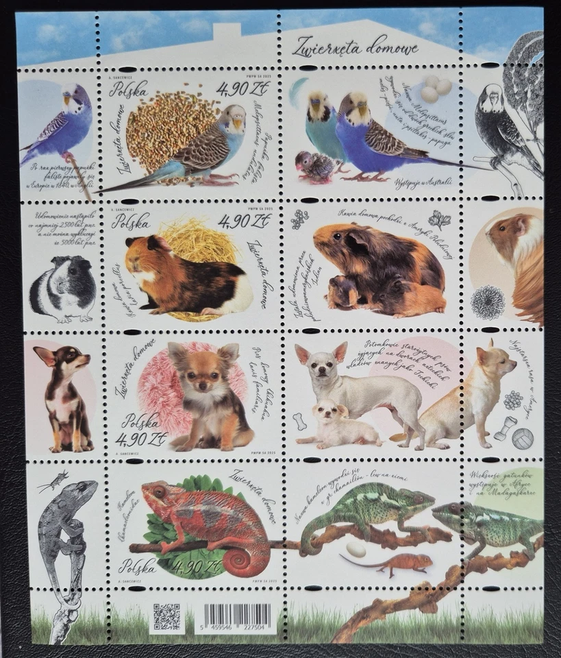 Poland  2025 / Domestic animals / 8v ms - Image 1 of 1