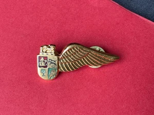 South African Air Force Half Wing Pin Badge Kings Crown Safe Africa Military RAF - Picture 1 of 7