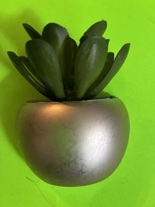 Artificail Succulent Magnet - Picture 1 of 3