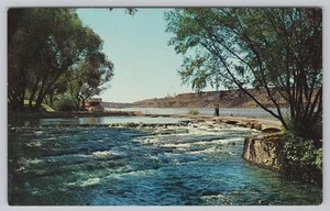 Postcard Giant Springs Great Falls Montana MT - Picture 1 of 2