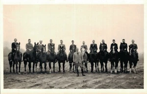 Brummen deportivo para caballos hippique RPPC 06,73 - Imagen 1 de 2