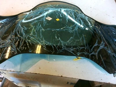 NOS ARCTIC CAT 0638-420 1606-820 1996-2002 BEARCAT WIDETRACK WINDSHIELD W11 C1A - Image 1 of 3