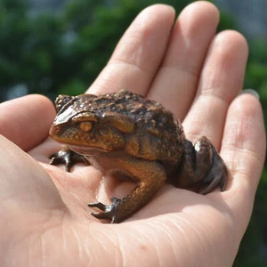 Feinguss massive Bronze Frosch Kröte Figur Handwerk Kunstwerk Home Schreibtisch Dekor Geschenk - Bild 1 von 9