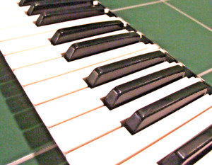 Yamaha DX-9 DX-21 DX-27 Replacement Synthesizer BLACK/ Sharp/flat Key