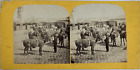 Stéréo, scène de travail dans une écurie, chevaux, attelages Vintage stereo card