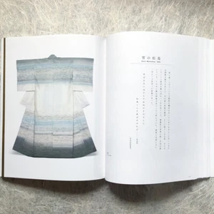 KIMONO Fukumi Shimura Pongee TSUMUGI Fabrics Design Textiles Signed by author - Imagen 1 de 12