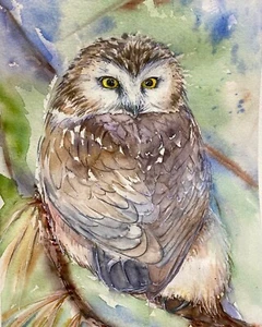 Bird Watercolor Original Painting Northern Owl Lovers - Picture 1 of 2