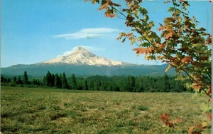 Vintage Oregon OR Postcard Beautiful View of Mt Hood  - Picture 1 of 4