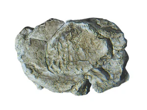 Woodland Scenics C1237 Wind Rock Mold 5 x 7 - Bild 1 von 1