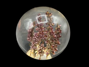Vintage Hippocampus Einbettung Acryl Plexiglas Briefbeschwerer Blumenstrauß 2,5" - Bild 1 von 9