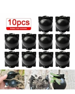 10PCS Botanik, Pflanze Bewurzelung Wurzel, Gerät, Druck Vermehrung Ball-Box - Bild 1 von 2