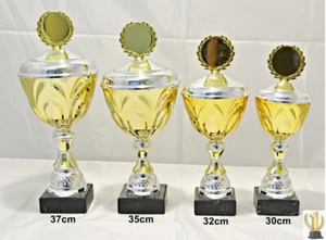 Pokal 2401 4er Serie oder Einzeln mit 50mm Emblem und Beschriftung - Bild 1 von 5