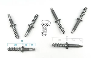Torx Doppelbolzen Holzgewinde + M8 10.9 Zinklamelle 2 Varianten kurz / lang - Bild 1 von 4