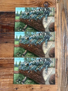 VINTAGE POSTCARD c1917=WASHINGTON STATE LUMBERING—14 MEN ON A LOG—EX - Picture 1 of 2