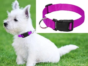 Adjustable S-M -L-XL Nylon Durable Collars 4 Sizes COMFORTABLE Dog/Pet Collar uk - Picture 1 of 13