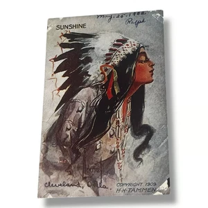 Postal Sunshine Mujer Nativa Americana Artista Firmado Peterson c1909 D483 - Imagen 1 de 2