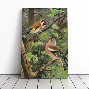 Vintage W Kuhnert Goldfinch & Buchfink Leinwand Wandbild Kunstdruck gerahmtes Bild - Bild 1 von 7