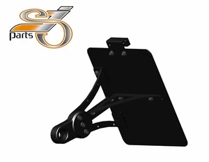 Harley Davidson Street Night Auction V Side Plate Holder + Lighting - Picture 1 of 3