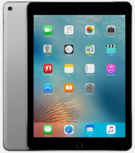 Apple iPad Air 1st Gen (Wi-Fi + Cellular) 16GB Space Gray A1475 - Excellent - Picture 1 of 6