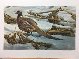Stampa artistica firmata e numerata Robert Bateman Fagiano a Cornfield - Foto 1 di 1