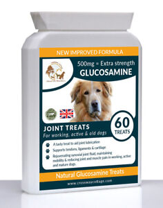 Dog Joint Supplement for stiff older dogs