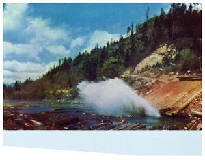 Log Pond Vintage Postcard Unknown Location Kodachrome - Picture 1 of 2