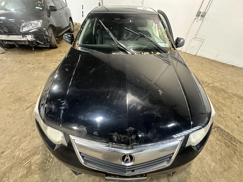 Used Hood fits: 2013 Acura Tsx  Grade B — 第 1/4 张图片