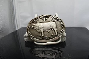 TONY LAMA SANTA GERTRUDIS PROVEN PREFORMANCE BULL FIRST EDITION NEW [A] - Picture 1 of 2