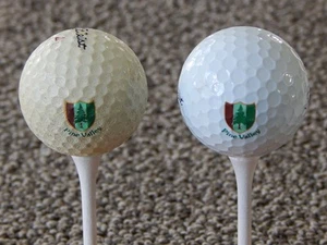 Two Pine Valley Logo Titleist Golf Balls - one modern, one vintage - Picture 1 of 3