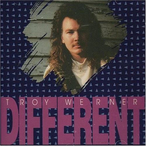 TROY WERNER - Different - CD - **Mint Condition** - RARE Foto 1 de 1