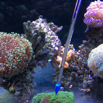 Coral Spot Feeder Tube Acrylic Coral Feeder Aquarium Supplies Coral Reef • 7.93€