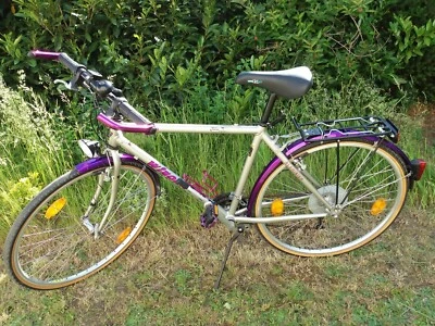 Winora Damen Fahrrad Trekkingrad Trekking Bike silber pink violett 50 cm - Bild 1 von 4