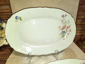 PIATTO PORTATA OVALE ANNI 60 PORCELLANA RICHARD GINORI ARISTON MIS 34X24 VASSOIO - Foto 1 di 2