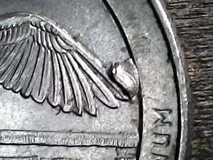 2018 P Cumberland Island Double Die Chip, Large Reverse Error Quarter AU Nice - Picture 1 of 24