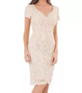JS COLLECTIONS SOUTACHE & MESH BLUSH PINK DRESS sz 10 - Picture 1 of 3