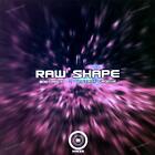Raw Shape - Bodyrock / Instant Groove Maxi 2005 (VG+/VG+) '
