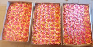 Abschießblumen Papier - Basteln Blumen Schießbude ca 800 Stück DDR - Bild 1 von 5
