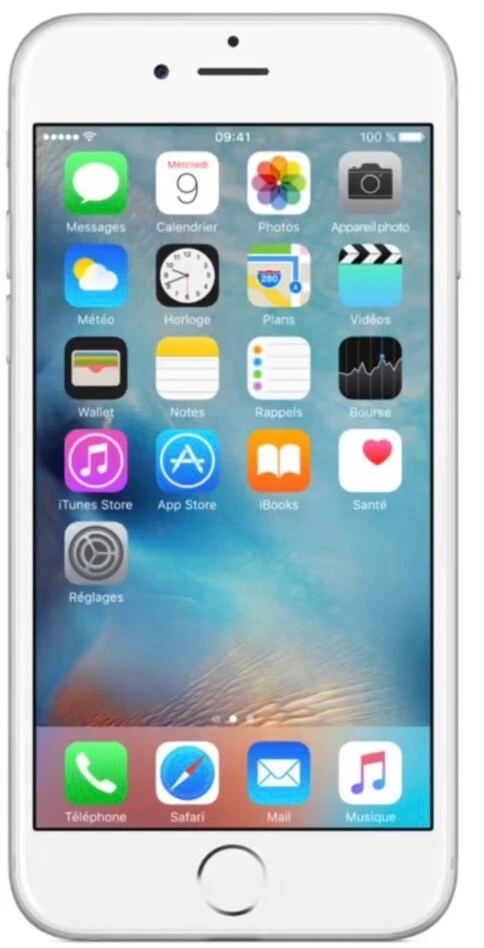 Apple iPhone 6 - 32 Go - Gris Sidéral (Désimlocké) - Photo 1/1