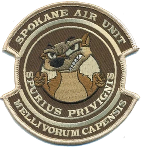 USCBP SPOKANE AIR UNIT HONEY BADGERS WASHINGTON BROWN EMBROIDERED PATCH - Picture 1 of 1