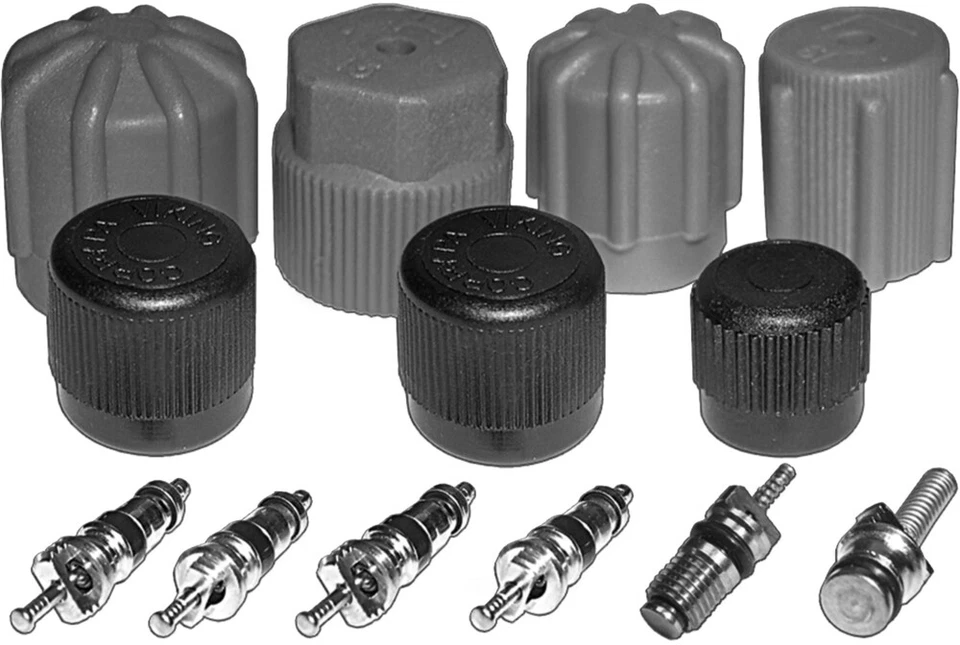 AC System Valve Core and Cap Kit fits Audi A4 A6  BMW 325i 740iL MT2903 - Image 1 of 1