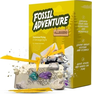 Gemstone Mining Jr. Gemologist Dig Kit - Free Shipping - Picture 1 of 1