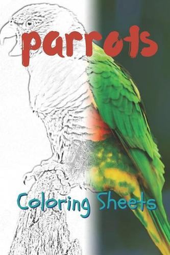 Parrot Coloring Sheets 30 Parrot Drawings, Coloring Sheets Adults