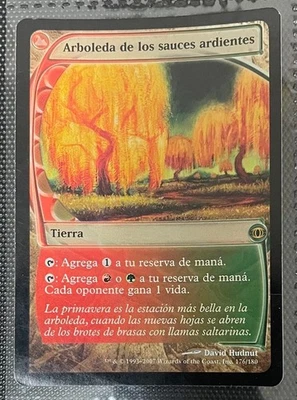 Foil Future Sight Burning Willow Grove Spanish version Used Trading Card - Image 1 of 4