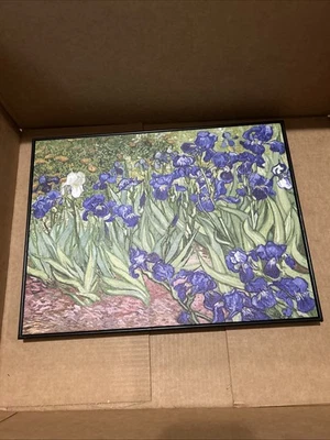 Pintura de iris 13x17 Foto 1 de 2