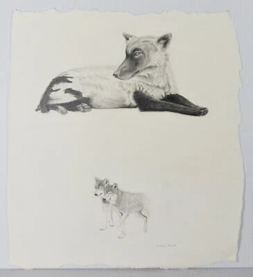 Boceto de dibujo a lápiz vintage de 14" cachorros de lobo juego de sombras Candace McCall Americana Foto 1 de 3