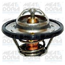 Thermostat Ford ORION