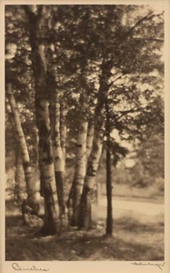 Frank Hohenberger "Abedules", 8"x 5" impresión fotográfica firmada arte de Indiana - Imagen 1 de 2