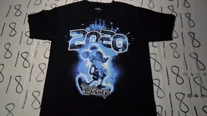 Large Kids 10/12 Disney 2020 Pandemic Shirt - Picture 1 of 5