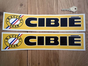 Par de pegatinas para autos de carreras y rally CIBIE Racing Team 320 mm logotipo izquierdo Renault - Imagen 1 de 1