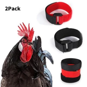 Cockerel Rooster Quiet No Crow Anti Noise Band Collar 2Pcs/set Neck C9X3 K5B0 - Picture 1 of 14